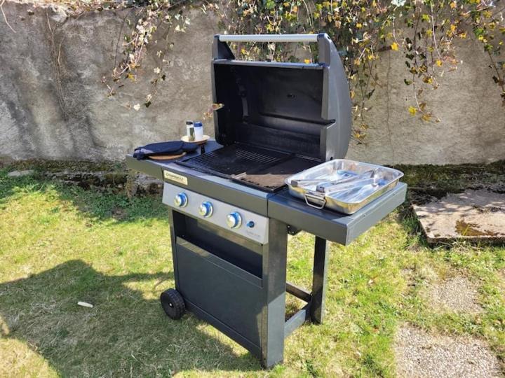 Gite Eglantine 2 à 6 personnes avec SPA DANS RESIDENCE Ventron Exterior foto